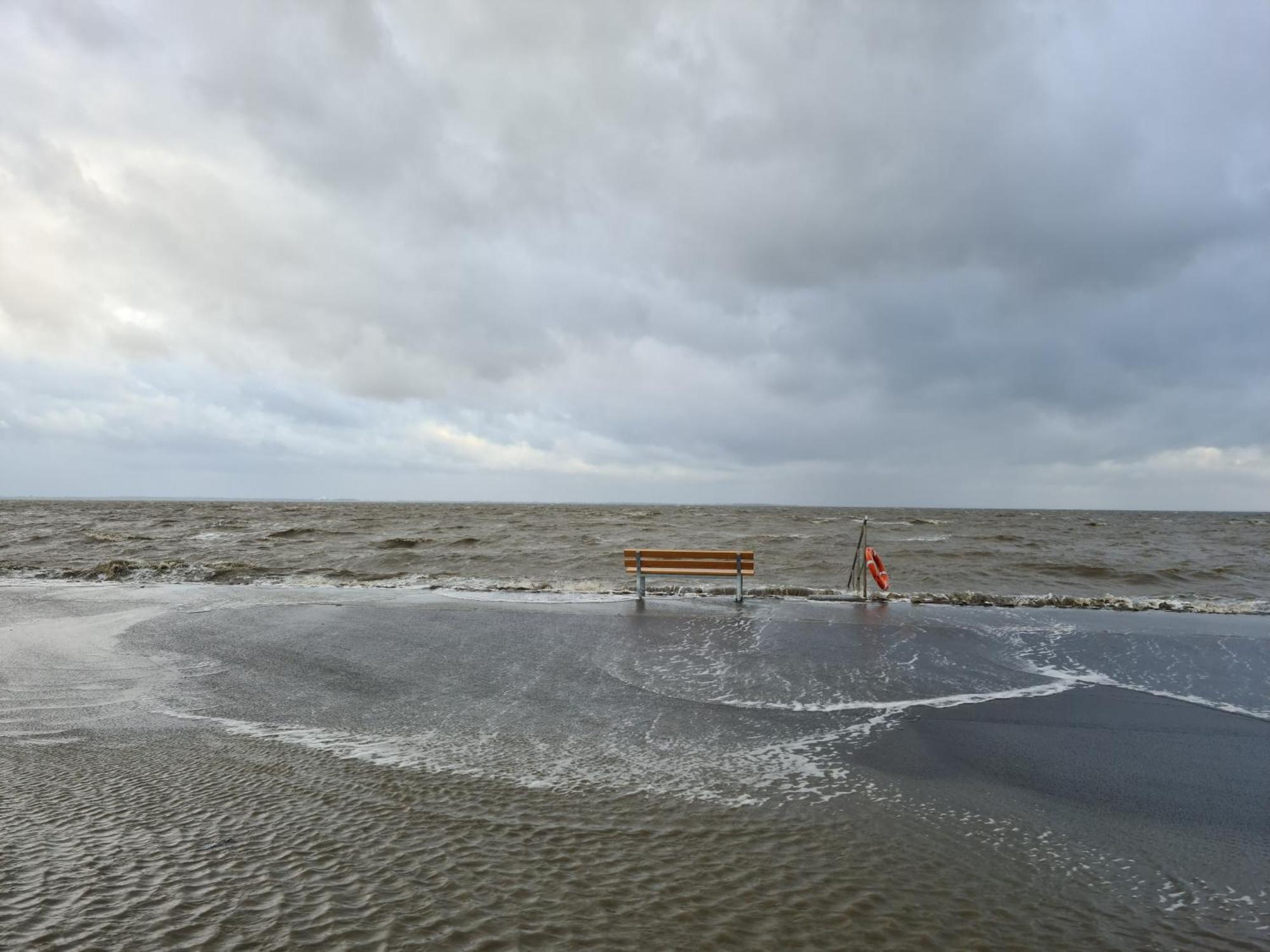 Haus Pudelwohl - Hundefreundliches Ferienhaus An Der Nordseekueste Sehestedt  エクステリア 写真